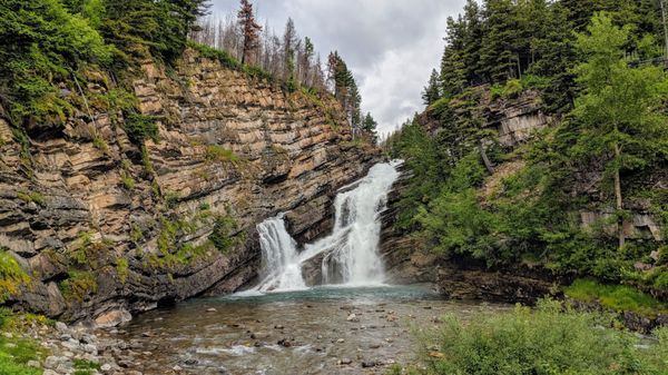 are dogs allowed in waterton national park