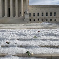 Photo of Supreme Court of the United States - Washington, DC, DC, US. Leaving roses for the victims of violent crimes as well as those killed by the state